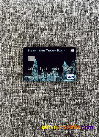 USA Northern Trust Bank visa card photolook